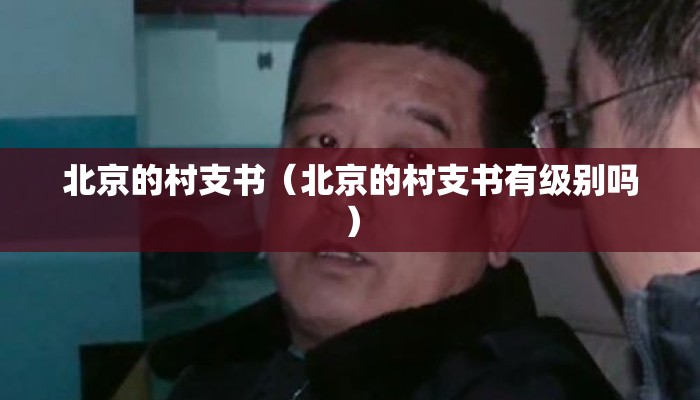 北京的村支书（北京的村支书有级别吗）