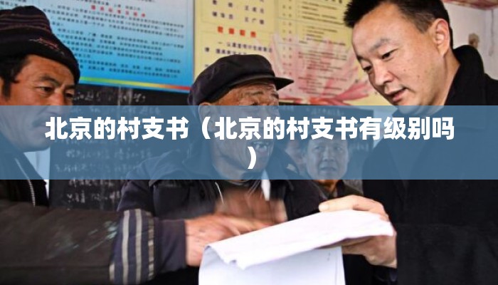 北京的村支书（北京的村支书有级别吗）