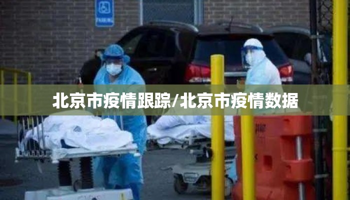 北京市疫情跟踪/北京市疫情数据