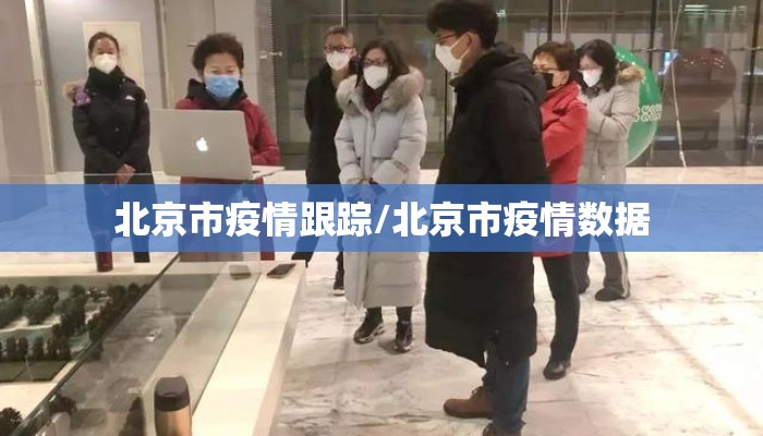 北京市疫情跟踪/北京市疫情数据