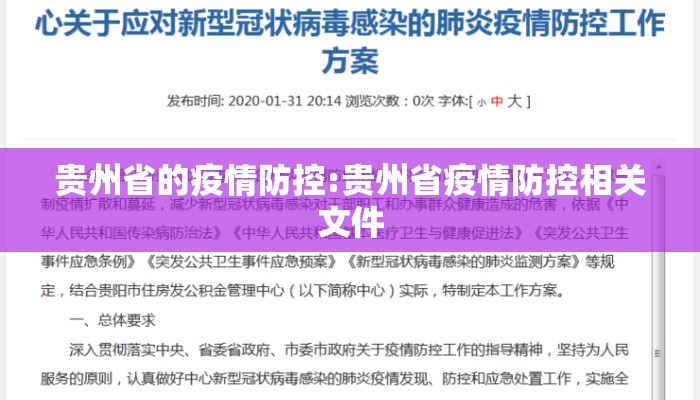 贵州省的疫情防控:贵州省疫情防控相关文件