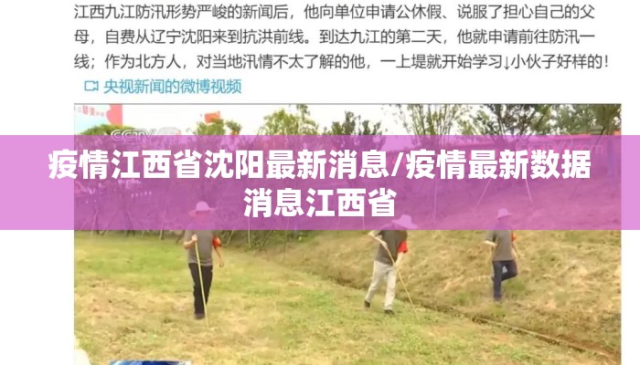 疫情江西省沈阳最新消息/疫情最新数据消息江西省