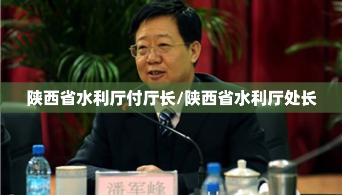 陕西省水利厅付厅长/陕西省水利厅处长