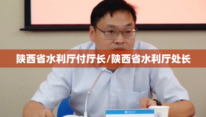 陕西省水利厅付厅长/陕西省水利厅处长