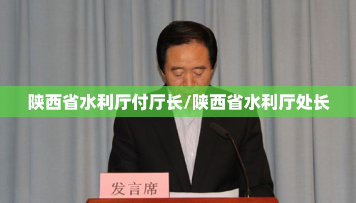 陕西省水利厅付厅长/陕西省水利厅处长