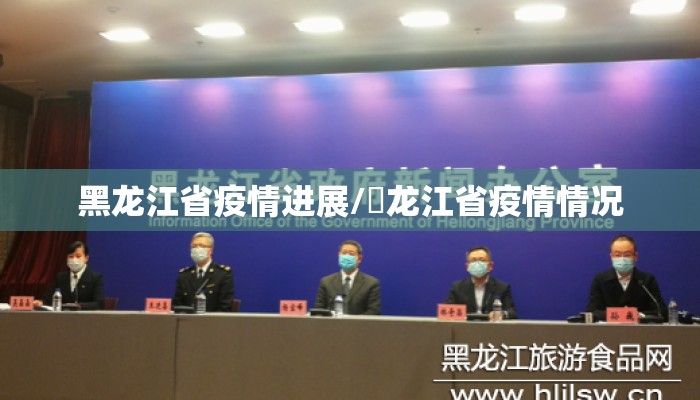 黑龙江省疫情进展/黒龙江省疫情情况