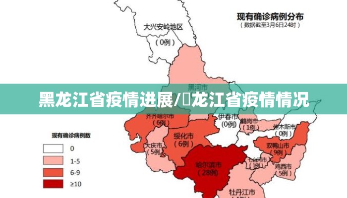 黑龙江省疫情进展/黒龙江省疫情情况