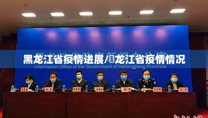 黑龙江省疫情进展/黒龙江省疫情情况