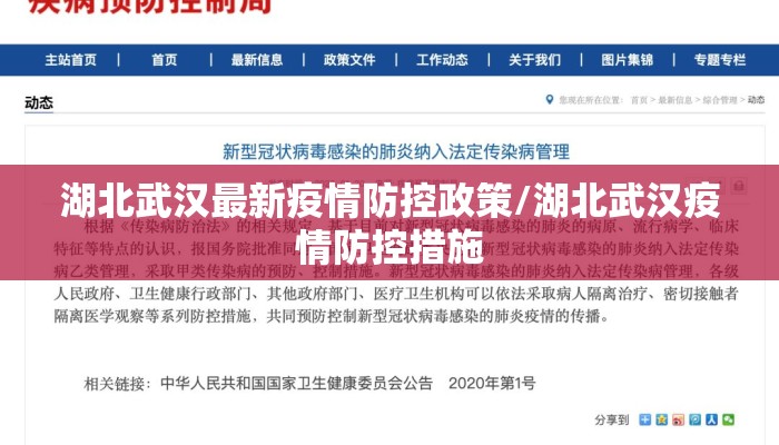 湖北武汉最新疫情防控政策/湖北武汉疫情防控措施