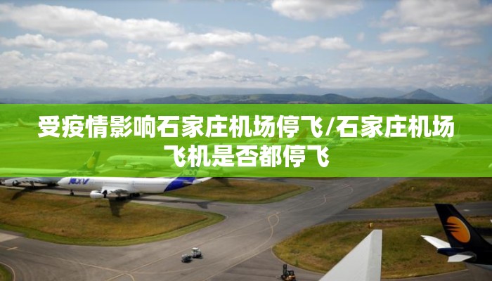 受疫情影响石家庄机场停飞/石家庄机场飞机是否都停飞