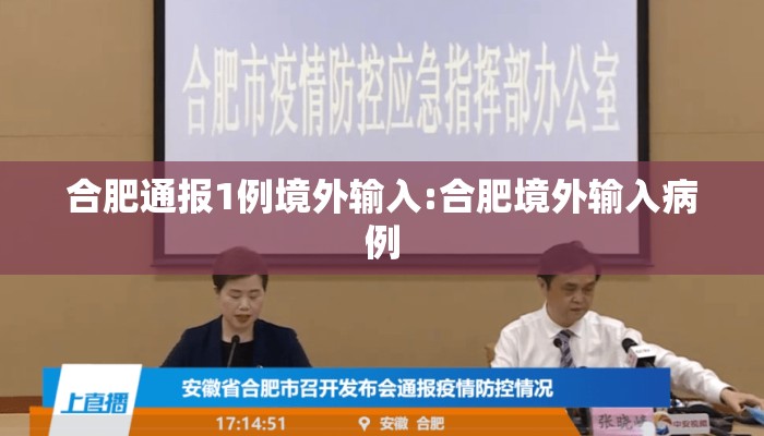 合肥通报1例境外输入:合肥境外输入病例