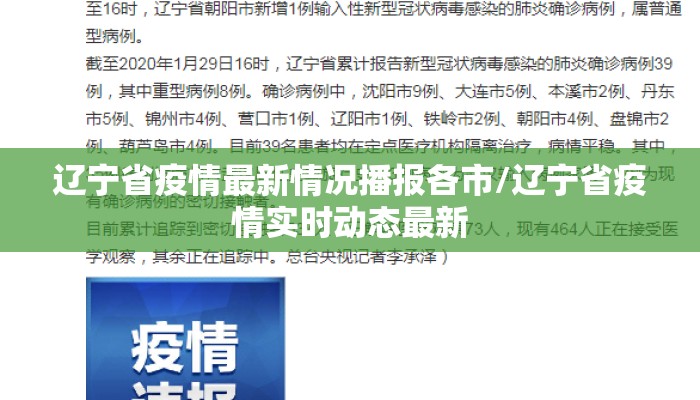 辽宁省疫情最新情况播报各市/辽宁省疫情实时动态最新