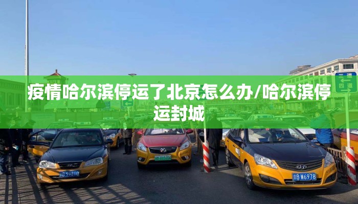 疫情哈尔滨停运了北京怎么办/哈尔滨停运封城