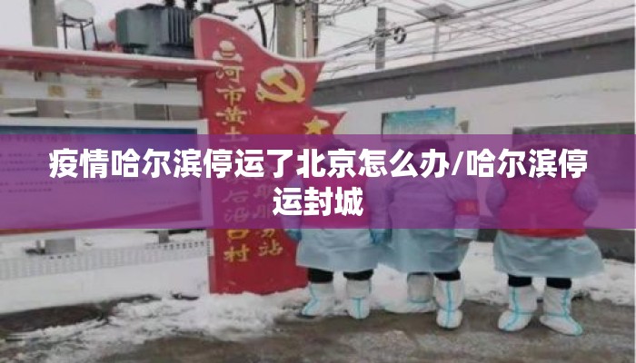 疫情哈尔滨停运了北京怎么办/哈尔滨停运封城