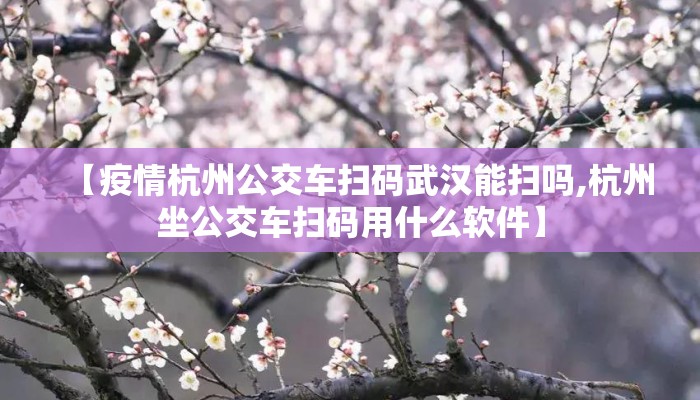 【疫情杭州公交车扫码武汉能扫吗,杭州坐公交车扫码用什么软件】