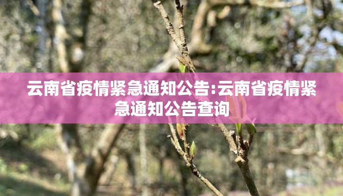 云南省疫情紧急通知公告:云南省疫情紧急通知公告查询