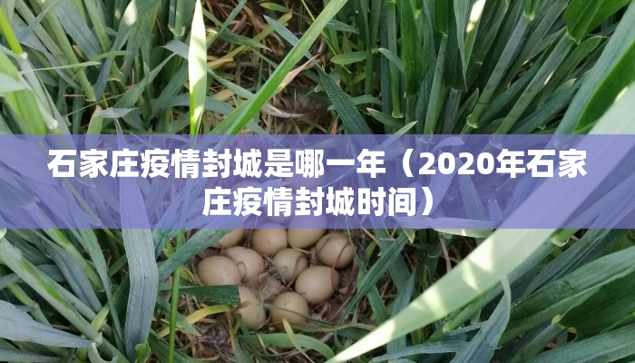 石家庄疫情封城是哪一年（2020年石家庄疫情封城时间）
