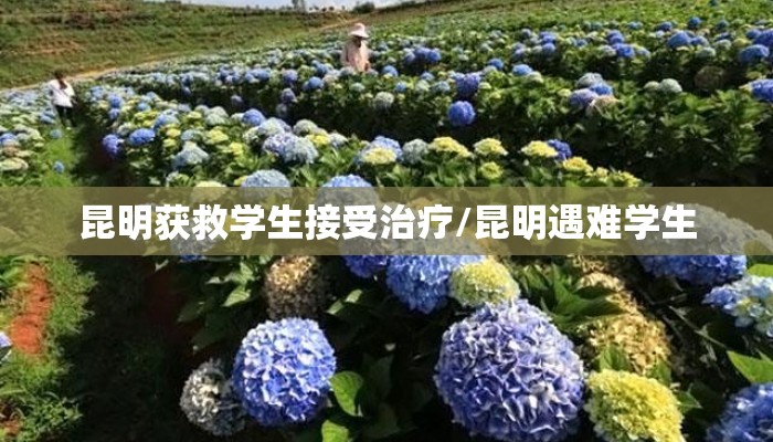 昆明获救学生接受治疗/昆明遇难学生