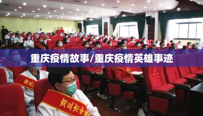 重庆疫情故事/重庆疫情英雄事迹