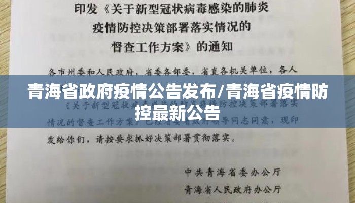 青海省政府疫情公告发布/青海省疫情防控最新公告
