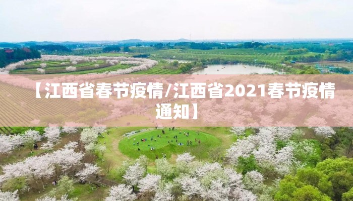 【江西省春节疫情/江西省2021春节疫情通知】