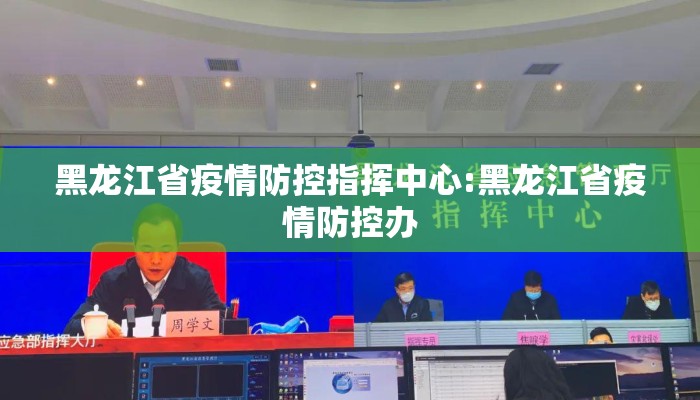 黑龙江省疫情防控指挥中心:黑龙江省疫情防控办