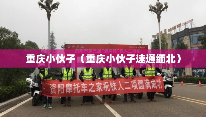 重庆小伙子（重庆小伙子速通缅北）