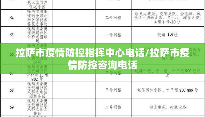 拉萨市疫情防控指挥中心电话/拉萨市疫情防控咨询电话