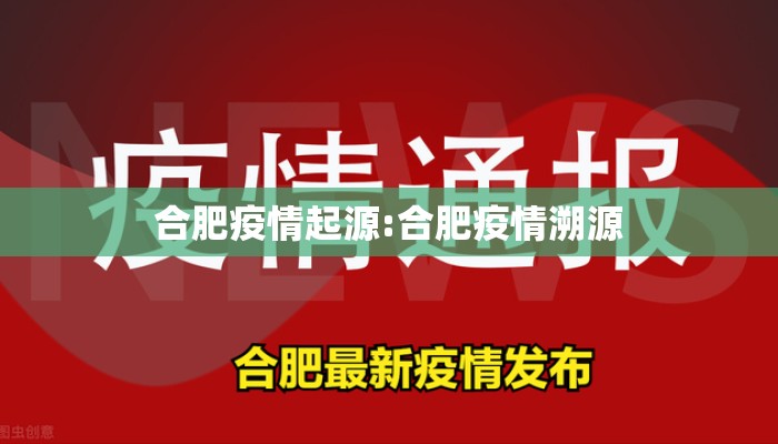 合肥疫情起源:合肥疫情溯源