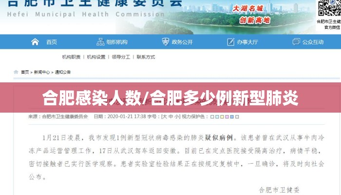 合肥感染人数/合肥多少例新型肺炎