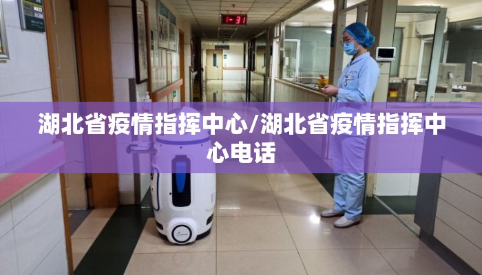湖北省疫情指挥中心/湖北省疫情指挥中心电话