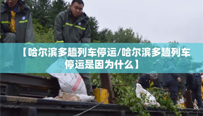 【哈尔滨多趟列车停运/哈尔滨多趟列车停运是因为什么】