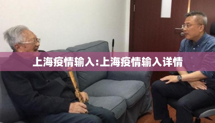 上海疫情输入:上海疫情输入详情