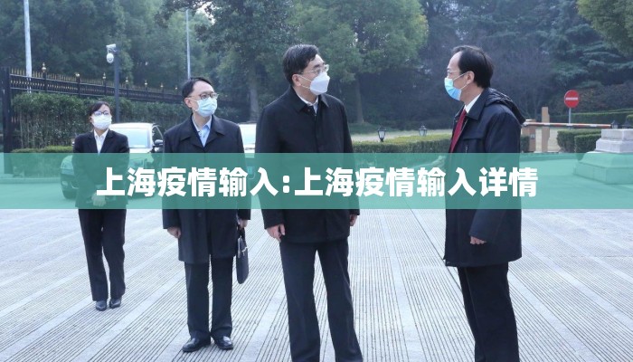 上海疫情输入:上海疫情输入详情