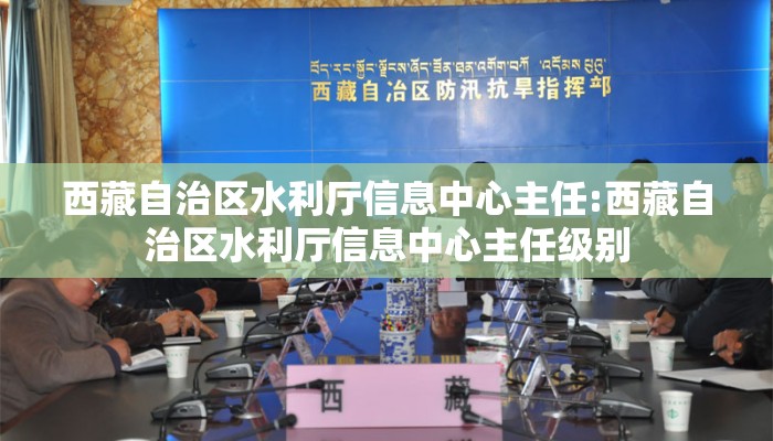 西藏自治区水利厅信息中心主任:西藏自治区水利厅信息中心主任级别