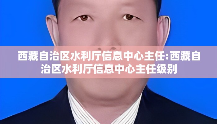 西藏自治区水利厅信息中心主任:西藏自治区水利厅信息中心主任级别