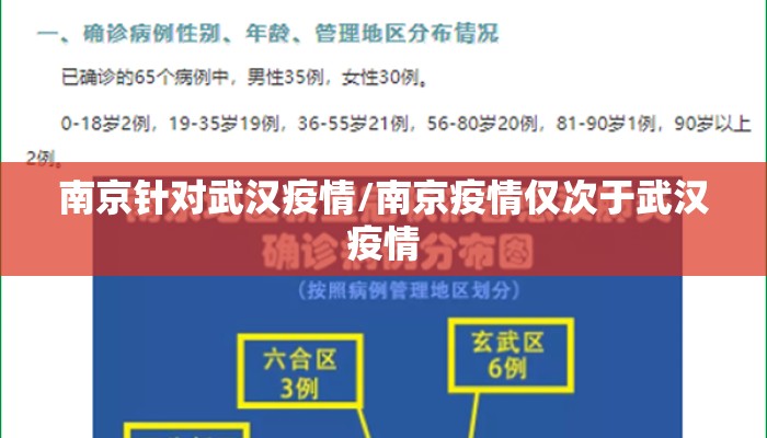 南京针对武汉疫情/南京疫情仅次于武汉疫情