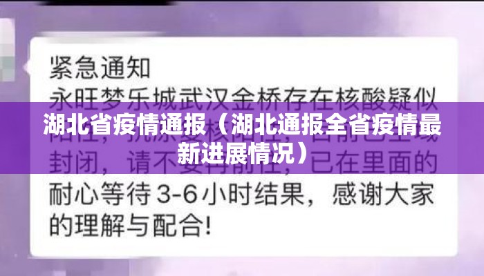 湖北省疫情通报（湖北通报全省疫情最新进展情况）