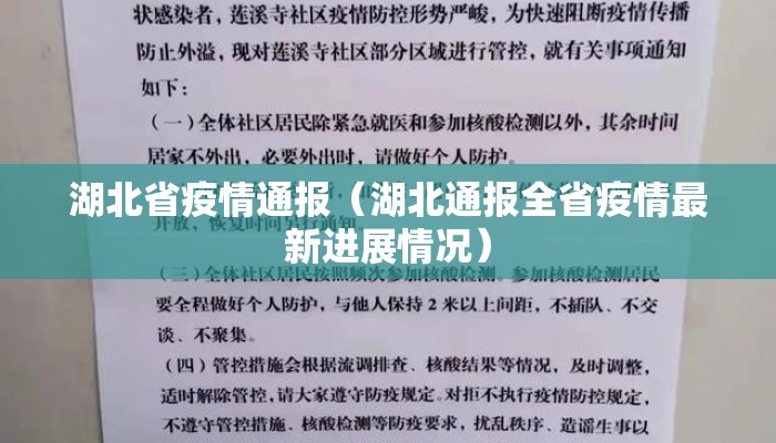 湖北省疫情通报（湖北通报全省疫情最新进展情况）