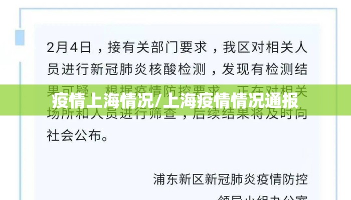 疫情上海情况/上海疫情情况通报
