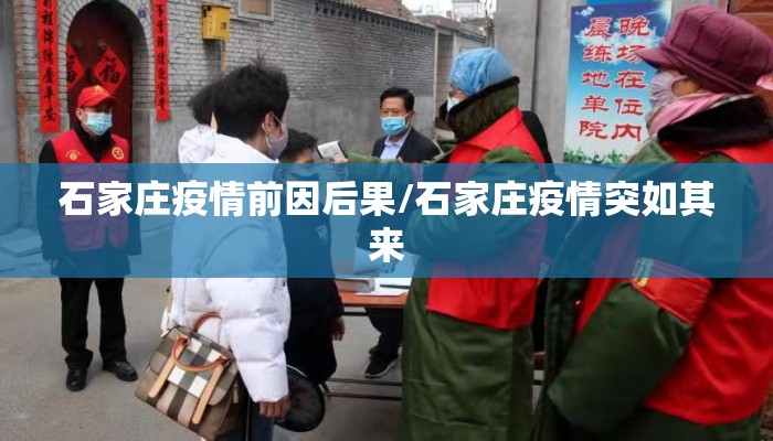 石家庄疫情前因后果/石家庄疫情突如其来