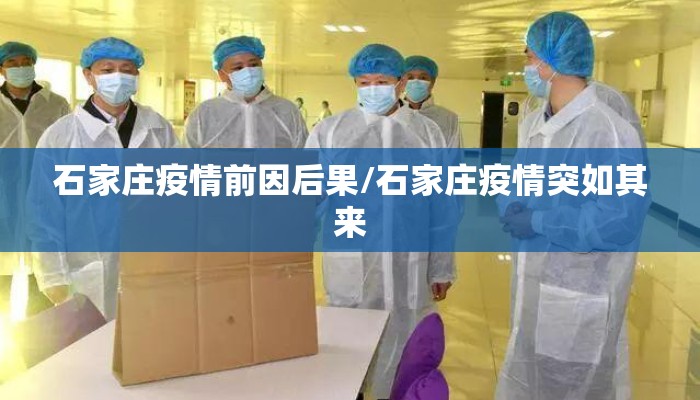 石家庄疫情前因后果/石家庄疫情突如其来