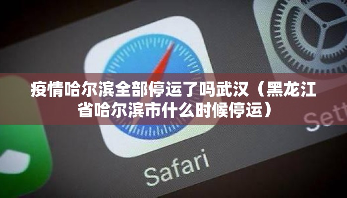 疫情哈尔滨全部停运了吗武汉（黑龙江省哈尔滨市什么时候停运）