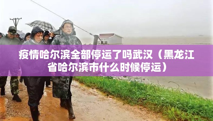 疫情哈尔滨全部停运了吗武汉（黑龙江省哈尔滨市什么时候停运）