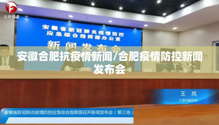 安徽合肥抗疫情新闻/合肥疫情防控新闻发布会