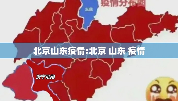 北京山东疫情:北京 山东 疫情
