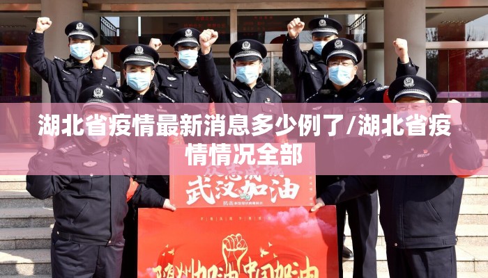 湖北省疫情最新消息多少例了/湖北省疫情情况全部