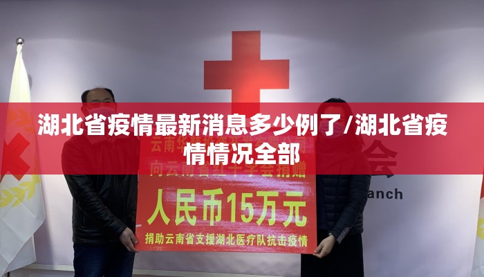 湖北省疫情最新消息多少例了/湖北省疫情情况全部