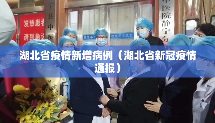湖北省疫情新增病例（湖北省新冠疫情通报）