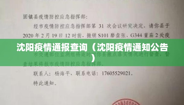 沈阳疫情通报查询（沈阳疫情通知公告）